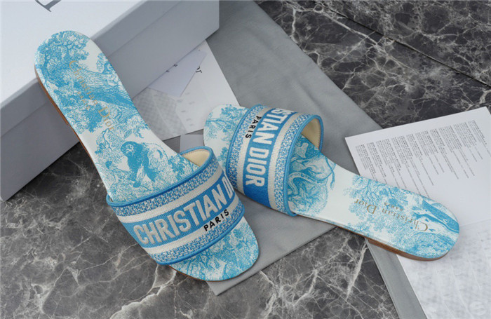 D1R* SLIDE copshoe  DR-213