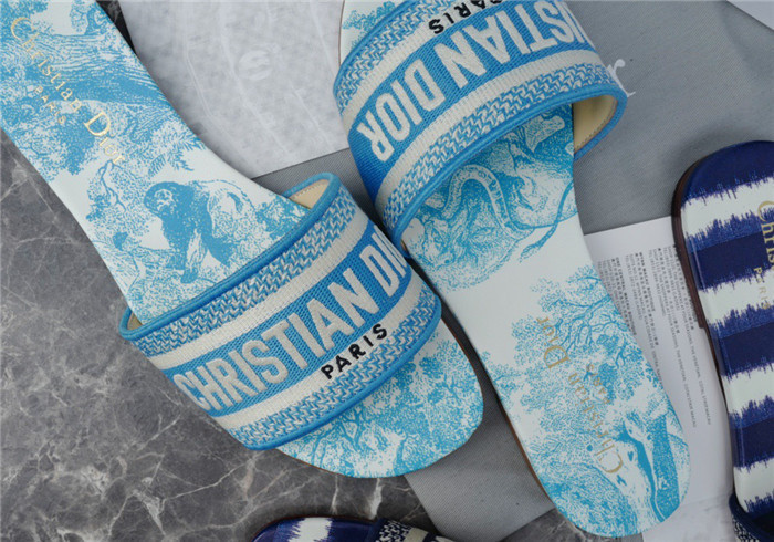 D1R* SLIDE copshoe  DR-213