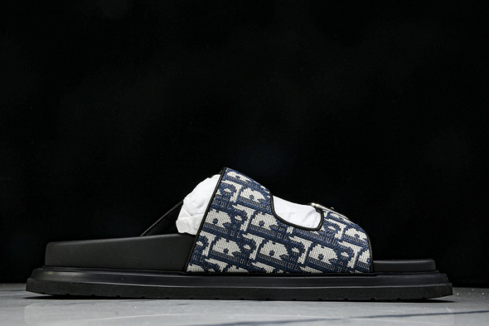 D1R* SLIDE copshoe  DR-SLIDE 013