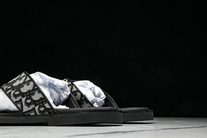 D1R* SLIDE copshoe  DR-SLIDE 015