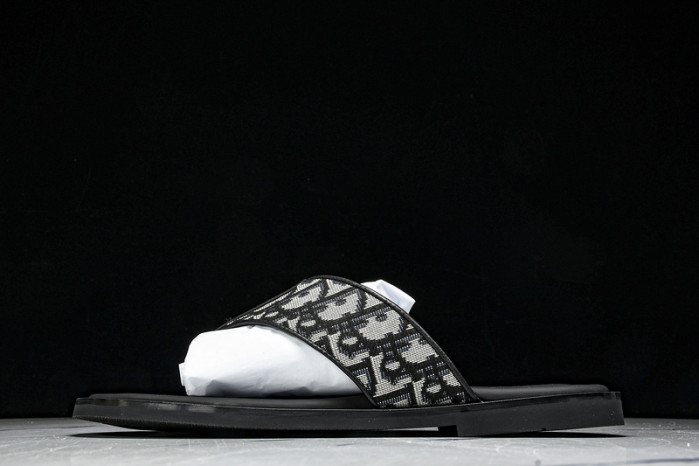 D1R* SLIDE copshoe  DR-SLIDE 015