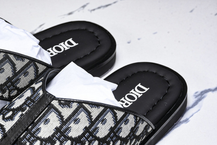 D1R* SLIDE copshoe  DR-SLIDE 015