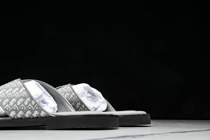 D1R* SLIDE copshoe  DR-SLIDE 016