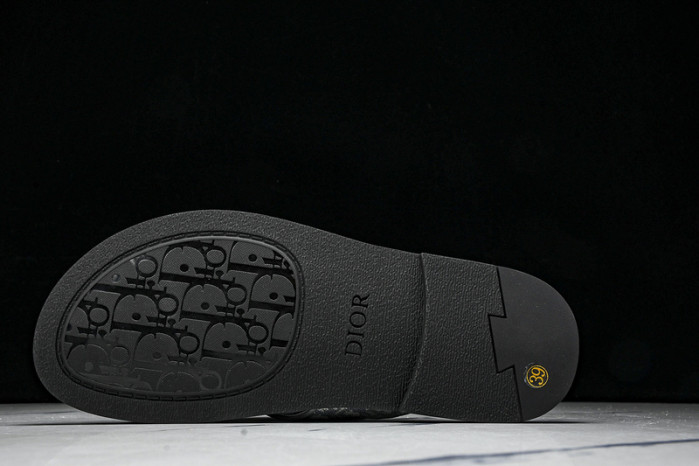 D1R* SLIDE copshoe  DR-SLIDE 016