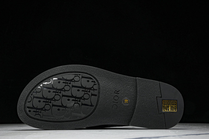 D1R* SLIDE copshoe  DR-SLIDE 017