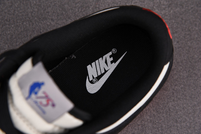 Nike Dunk Low EMB NBA 75th Anniversary - DD3363-100