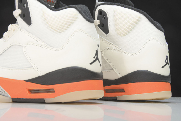 Air Jordan 5 Shattered Backboard DC1060-100