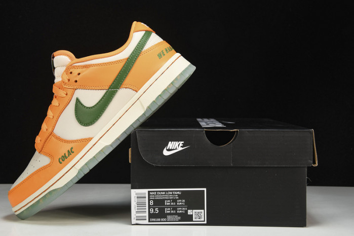 Florida A&M x Nike Dunk Low  DR6188-800