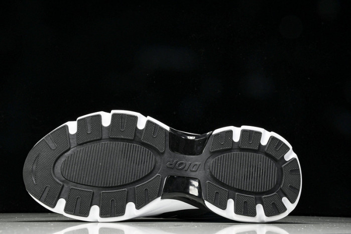 D1R* B44   copshoe  DR-308