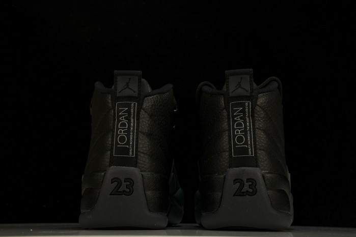 Air Jordan 12 Black Wolf Grey CT8013-019