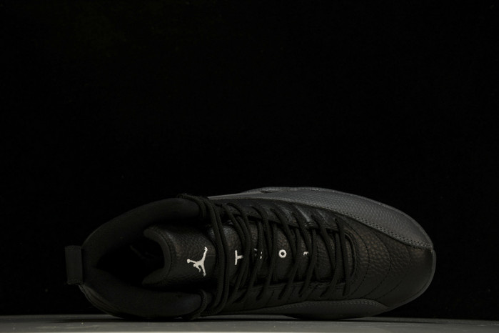 Air Jordan 12 Black Wolf Grey CT8013-019