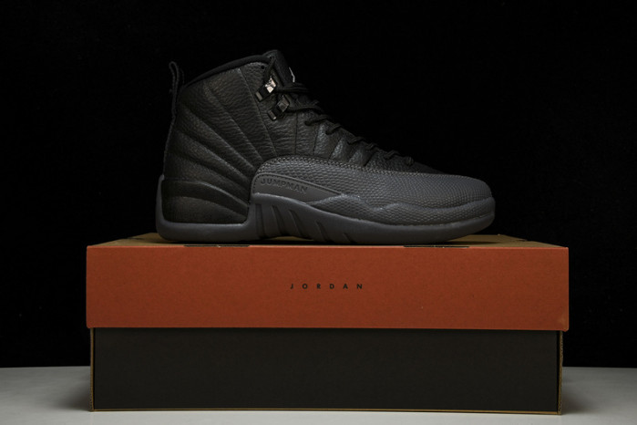 Air Jordan 12 Black Wolf Grey CT8013-019