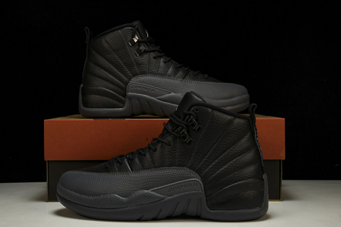Air Jordan 12 Black Wolf Grey CT8013-019