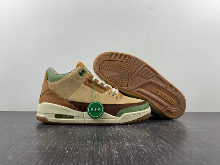 Air Jordan 3  retro CT8532-160
