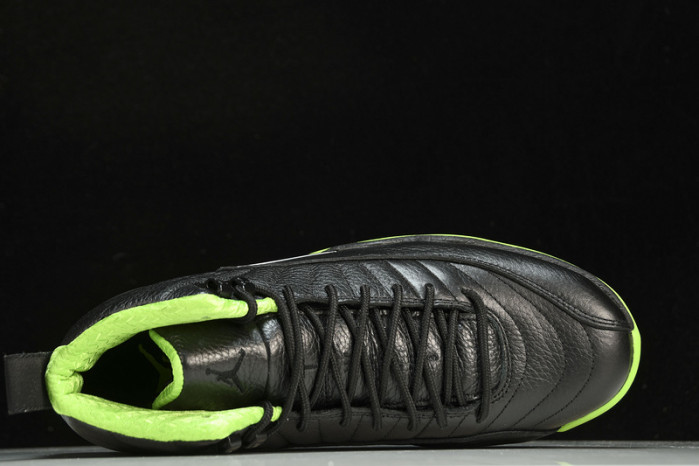 Air Jordan 12  BLACK/GREEN  DR8887-101