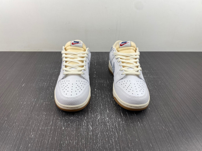 Dunk Low Washed Denim FN6881-100