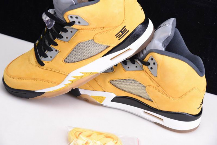 AIR JORDAN 5 RETRO TOKYO T23 454783-701