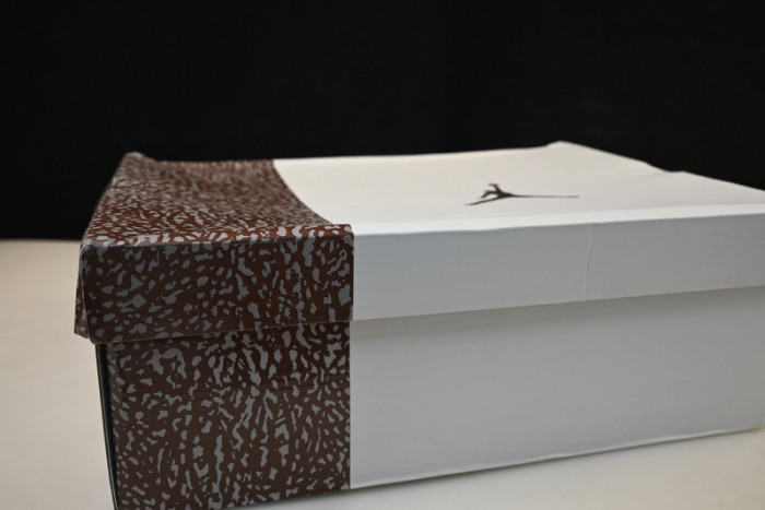 Air Jordan 3 Palomino CT8532-102