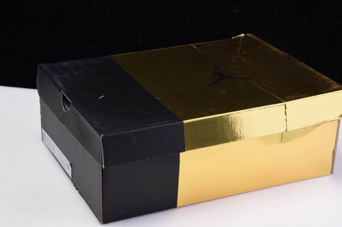 Jordan 6 Retro DMP (2020) - CT4954-007