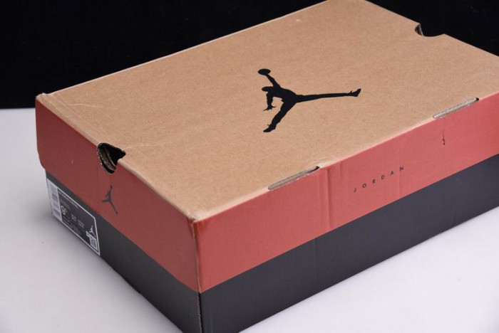 Jordan 12 Retro Reverse Flu Game - CT8013-602